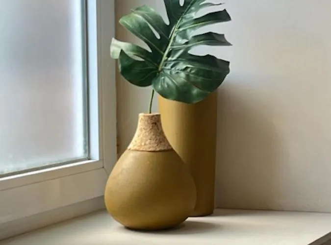 Myakaappartement Fontana * شوليه